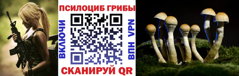 Купить  Новороссийск  Галлюциногенные грибы прущие грибы 